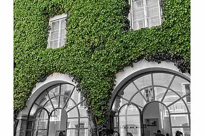 Außenfassade des Cafe 220 Grad in Salzburg