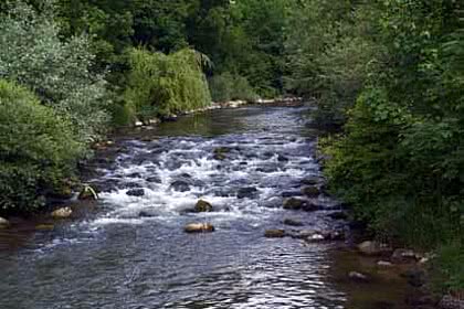 Fischbach im Urlaub im Hotel Gmachl Bergheim bei Salzburg
